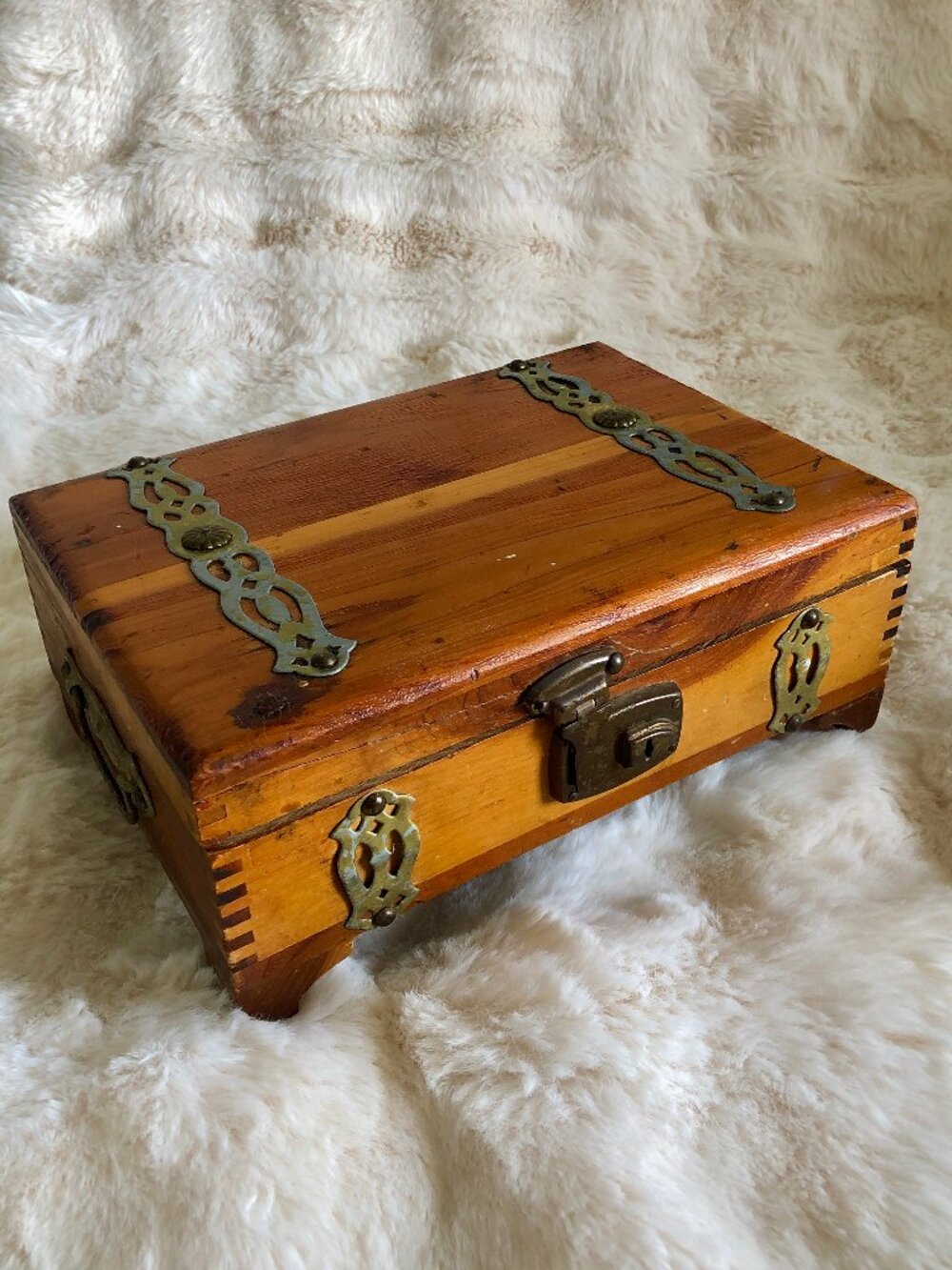 Vintage Cigar Box / Humidor Chest, Seal of the City of Tampa FLA